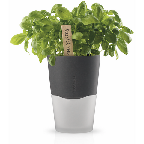 Kräuter-/Pflanzentopf